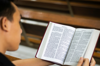 Resumo — A Bagaceira de José Américo de Almeida