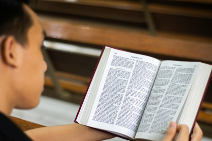 Resumo — A Bagaceira de José Américo de Almeida