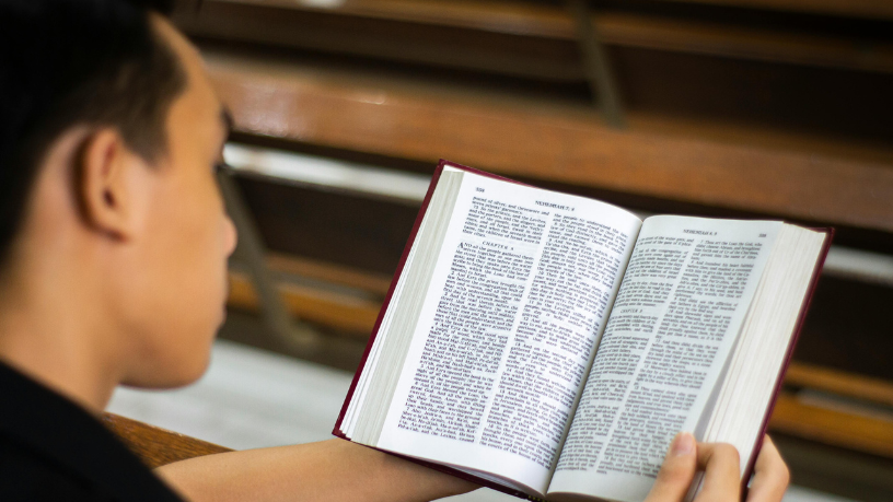 Resumo — A Bagaceira de José Américo de Almeida