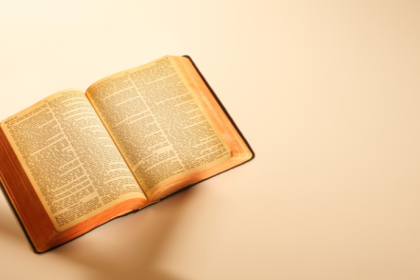 Resumo — O Reino de Emmanuel Carrère