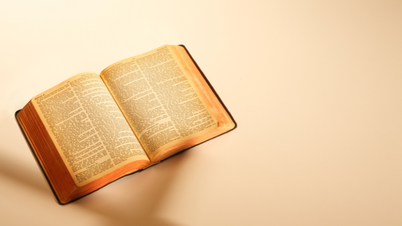 Resumo — O Reino de Emmanuel Carrère