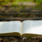 Resumo — O Seminarista de Bernardo Guimarães