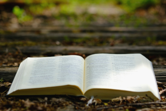 Resumo — O Seminarista de Bernardo Guimarães