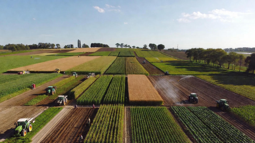 Para Aldo Vendramin, cooperativas agrícolas bem estruturadas reduzem riscos e ampliam competitividade.