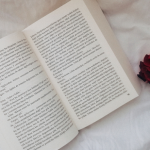 Resumo do A Casa dos Outros – Marília Vasconcellos Duarte