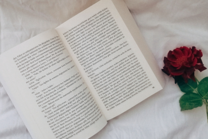 Resumo do A Casa dos Outros – Marília Vasconcellos Duarte