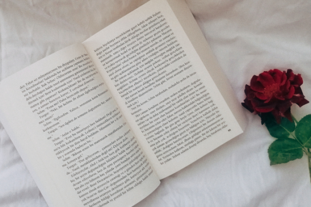 Resumo do A Casa dos Outros – Marília Vasconcellos Duarte