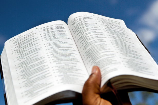 Resumo do A Ditadura Encurralada – Elio Gaspari