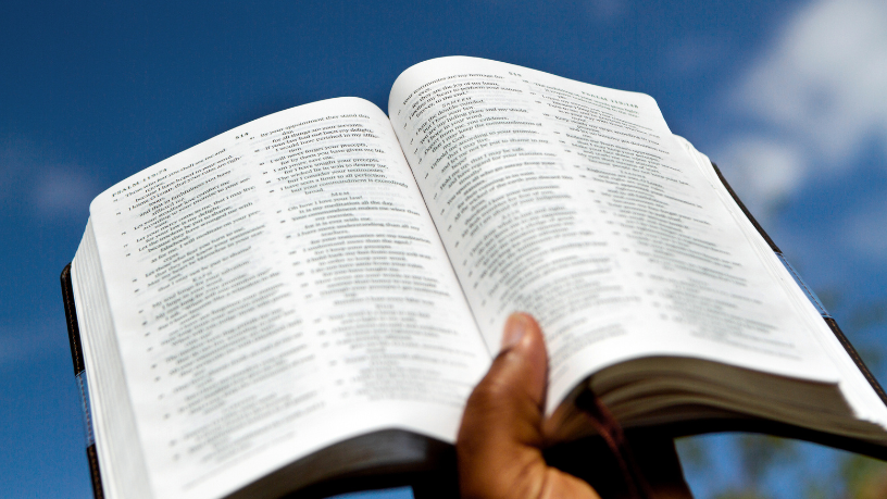 Resumo do A Ditadura Encurralada – Elio Gaspari