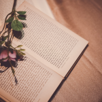 Resumo do A Experiência do Deserto – Hernandes Dias Lopes