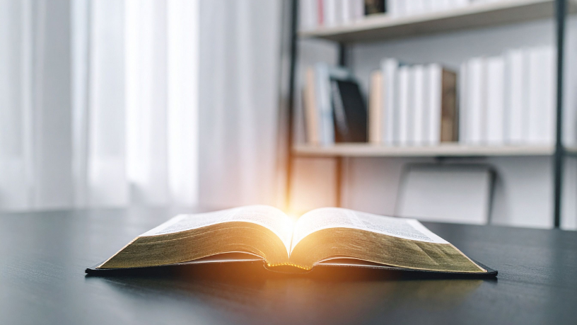 Resumo do A Vegetariana – Han Kang