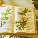 Resumo do O Deus que Responde – Max Lucado