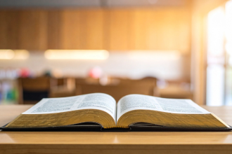 Resumo do O Jardim das Borboletas – Corina Bomann