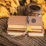 Resumo do O Labirinto dos Espíritos – Carlos Ruiz Zafón