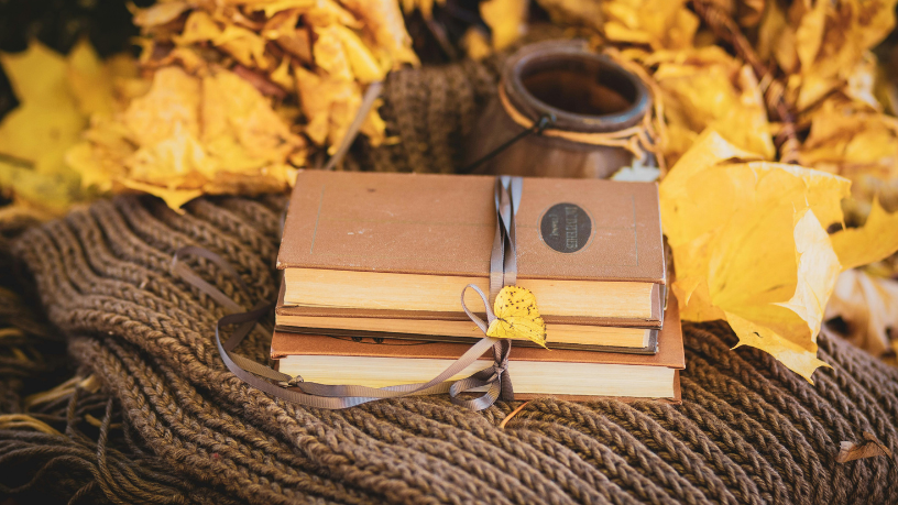 Resumo do O Labirinto dos Espíritos – Carlos Ruiz Zafón