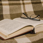 Resumo do O Nôvo — Martins Pena