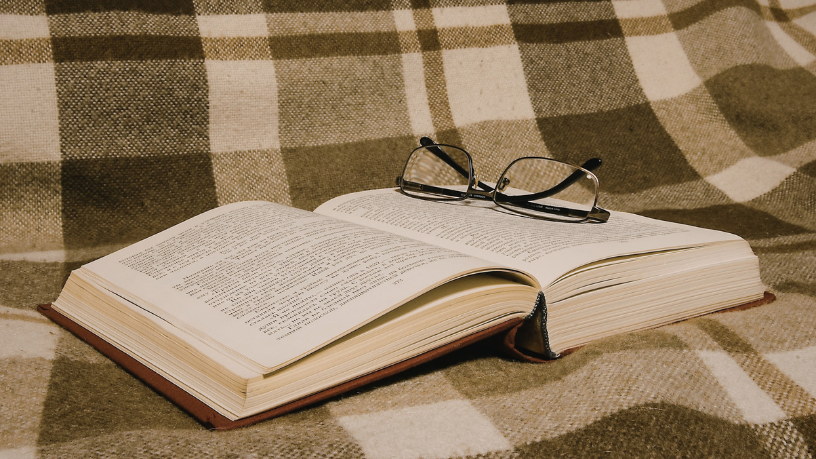 Resumo do O Nôvo — Martins Pena