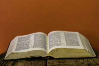 Resumo do O Pintor de Batalhas – Arturo Pérez‑Reverte