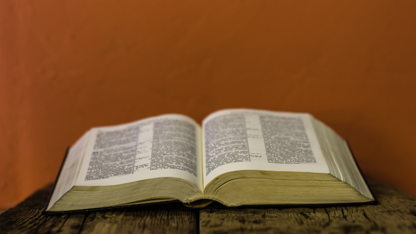 Resumo do O Pintor de Batalhas – Arturo Pérez‑Reverte