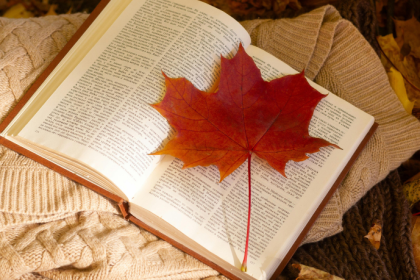 Resumo do O Príncipe e o Mendigo – Mark Twain