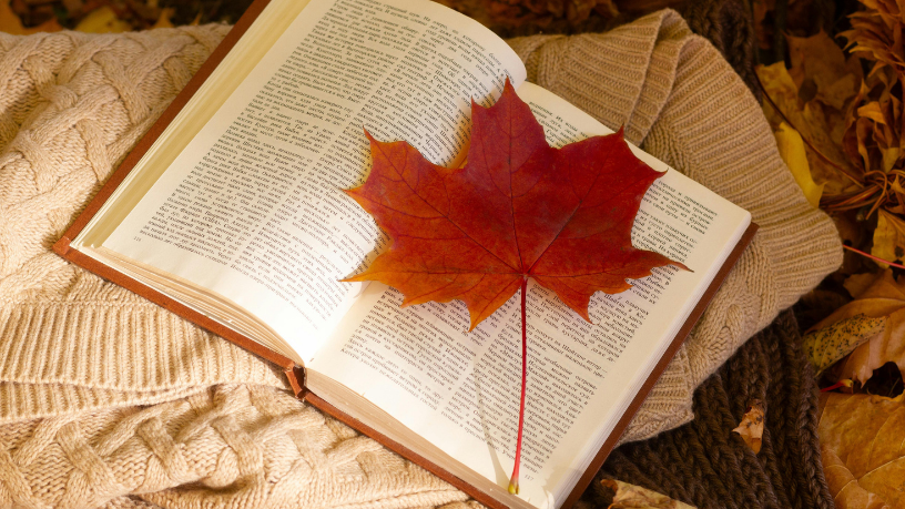 Resumo do O Príncipe e o Mendigo – Mark Twain