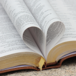 Resumo do O Reino das Vozes Que Não Se Calam – Delia Owens