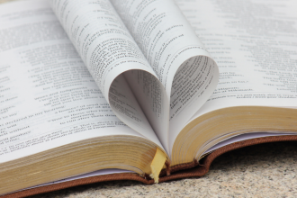 Resumo do O Reino das Vozes Que Não Se Calam – Delia Owens