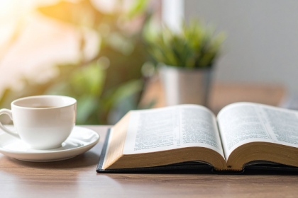 Resumo do O Reino de Thisbe – F. Scott Fitzgerald