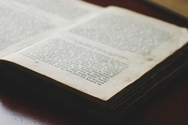 Resumo do O Tambor – Günter Grass