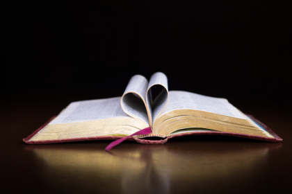 Resumo do Project Management: A Systems Approach – Harold Kerzner