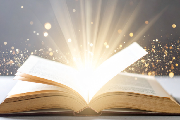 Resumo do livro O Feijão e o Sonho – Orígenes Lessa