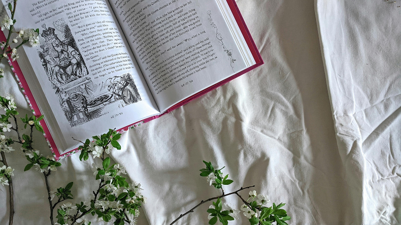 Resumo do livro O Último Homem – Mary Shelley