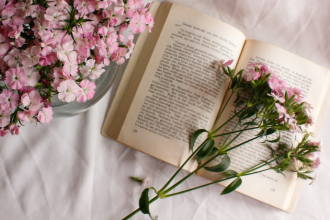 Resumo do livro O Visitante Noturno – Arménio Vieira