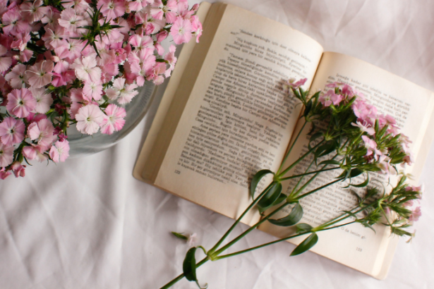 Resumo do livro O Visitante Noturno – Arménio Vieira