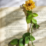 Resumo do livro Os Três Mosqueteiros – Alexandre Dumas