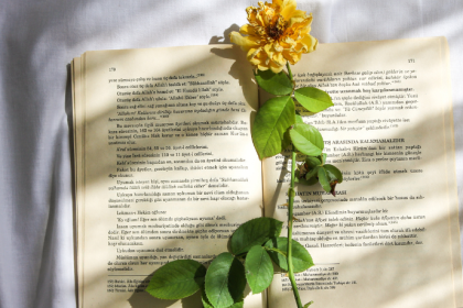 Resumo do livro Os Três Mosqueteiros – Alexandre Dumas