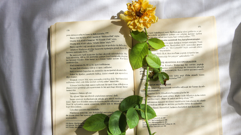 Resumo do livro Os Três Mosqueteiros – Alexandre Dumas