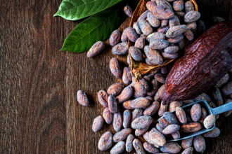 Alfredo Moreira Filho