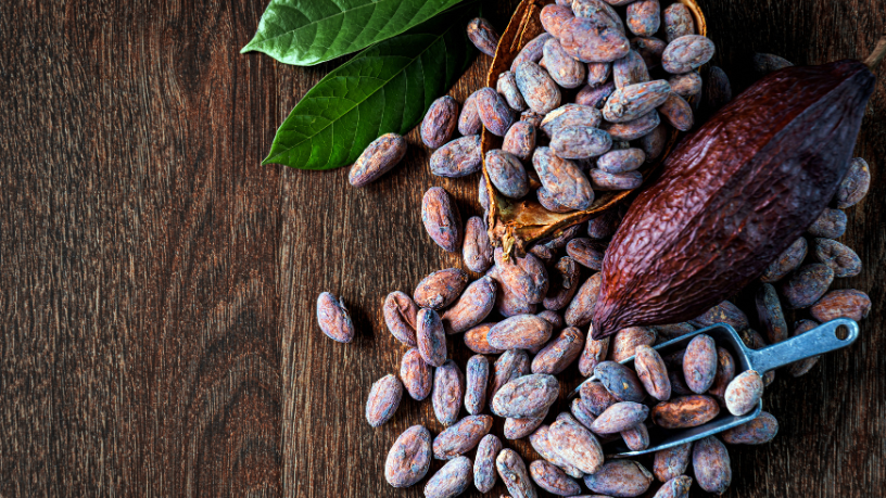 Alfredo Moreira Filho