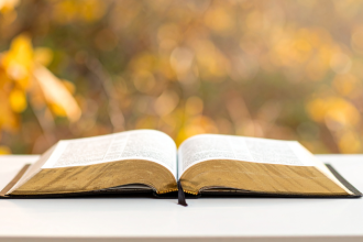 Testamento de Jó: o livro apócrifo que amplia a história de um dos personagens mais marcantes da Bíblia