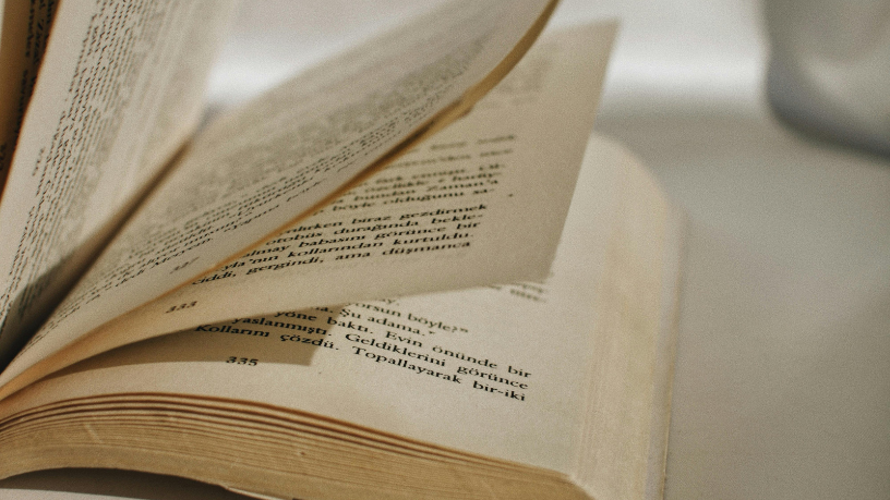 Esaú e Jacó, de Machado de Assis: o romance que transforma a rivalidade entre irmãos em uma crítica à política e à sociedade brasileira