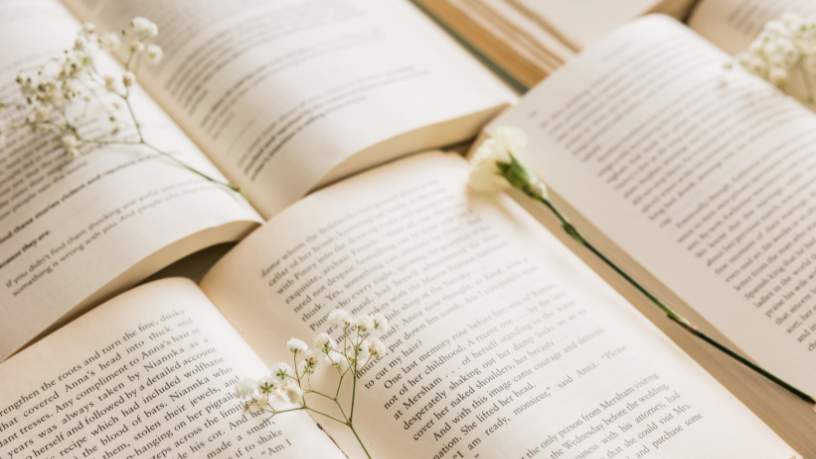 A Vida de Pi, de Yann Martel: a extraordinária jornada de sobrevivência, fé e imaginação em alto-mar